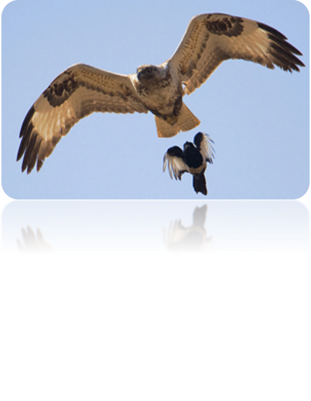 1717746740848199.png 圖片40.png