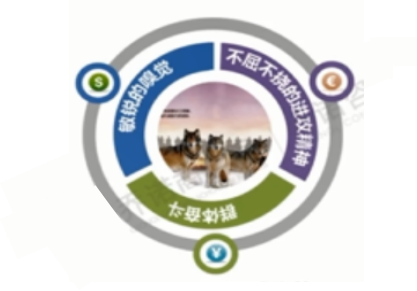 1719300246532298.png 圖片11.png